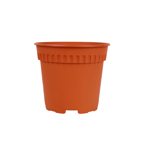 Baba RD-170 Pot