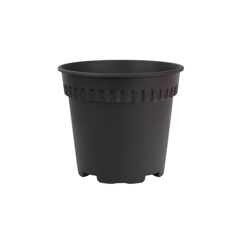 Baba RD-170 Pot
