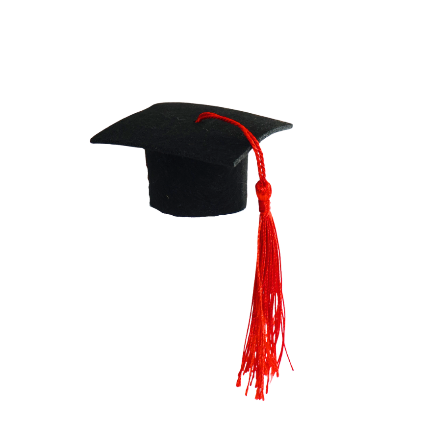 Graduation Hat Topper