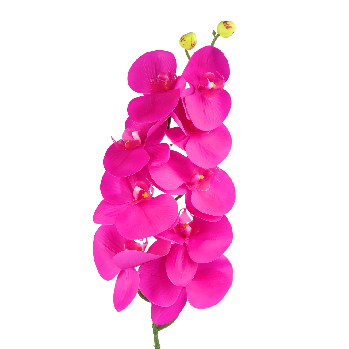 Artificial Phalaenopsis