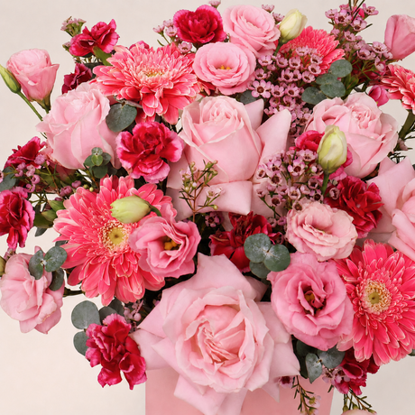 Gentle Light - Gift Hamper