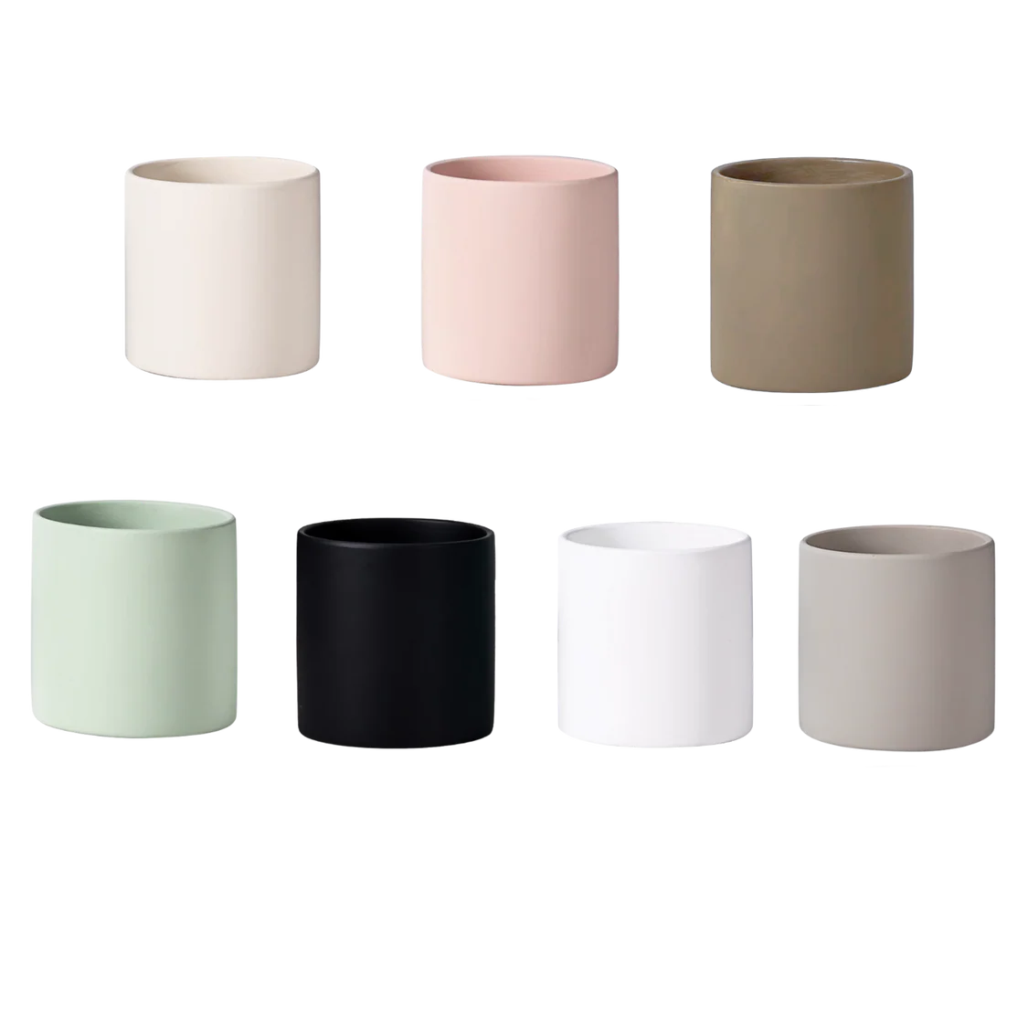 Monstera in Ceramic Pot