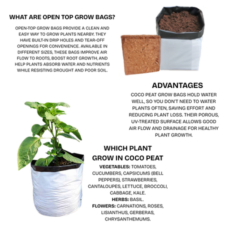 Grow Bag Coco Peat