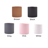 Sansevieria in Ceramic Pot