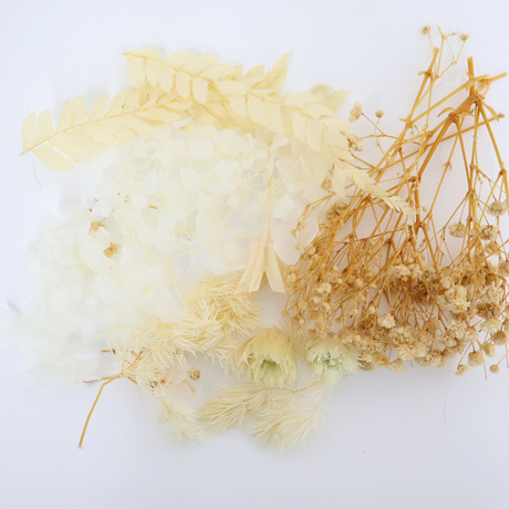 Preserved Natural Dried Flowers