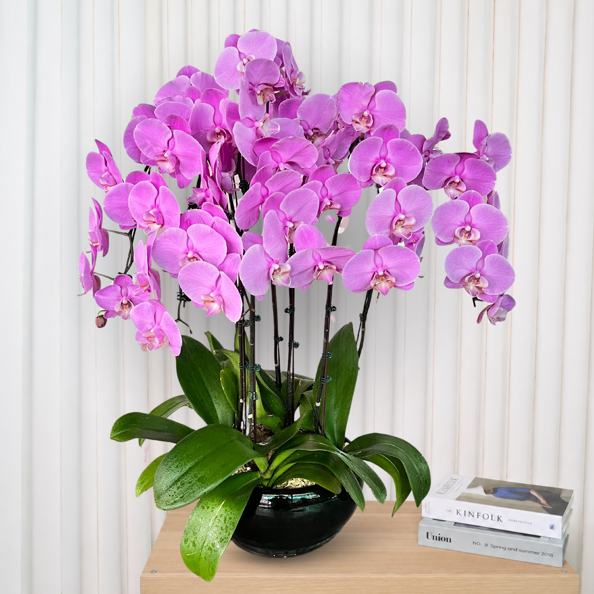 Classic (6 Single Stem) - Orchid Phalaenopsis