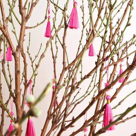 Cherry Blossom in Gold Pot - CNY Plant