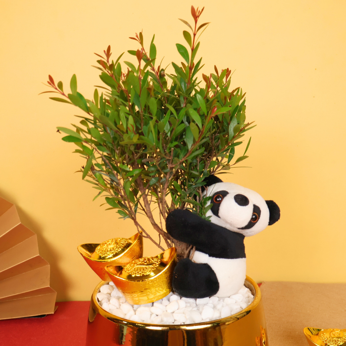 Prosper Thrive - CNY Plant