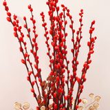 Prosper Victory (20 Stalks) - Pussy Willow