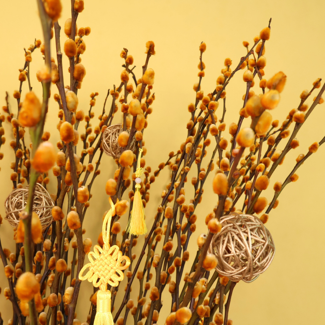 Prosperity Bloom (60 Stalks) - Pussy Willow