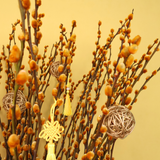 Prosperity Bloom (60 Stalks) - Pussy Willow