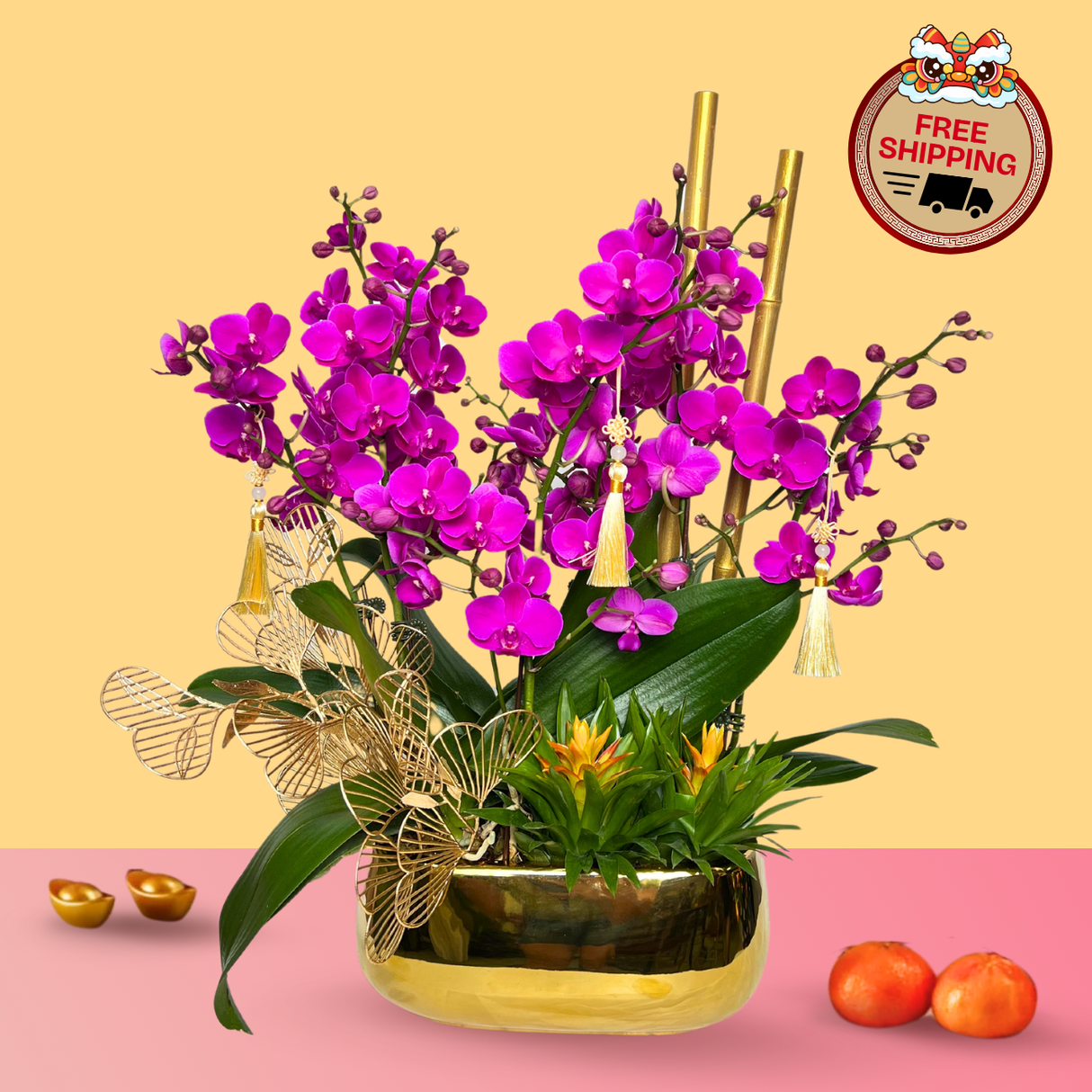 Prosperity Garden (3 Double Stalks) - Orchid Phalaenopsis