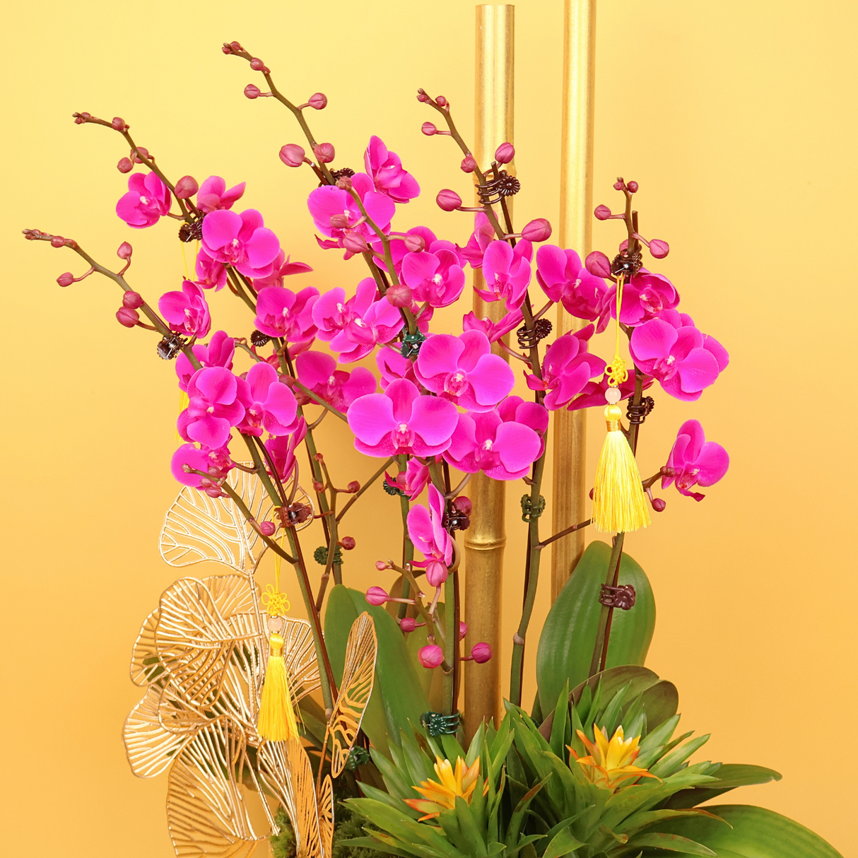 Prosperity Garden (3 Double Stalks) - Orchid Phalaenopsis