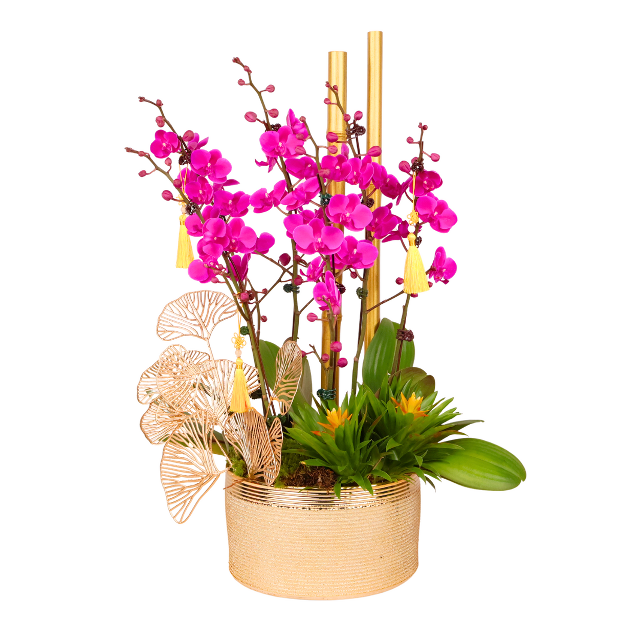 Prosperity Garden (3 Double Stalks) - Orchid Phalaenopsis