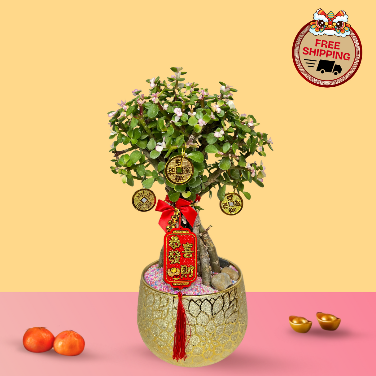 Prosperity Tradition - CNY Plant