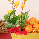 Prosperity Vine (18 Oranges) - Orange and Flower CNY Hamper