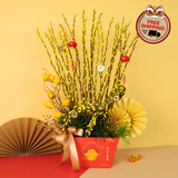 Prosperous Fortune (50 Stalks) - Pussy Willow