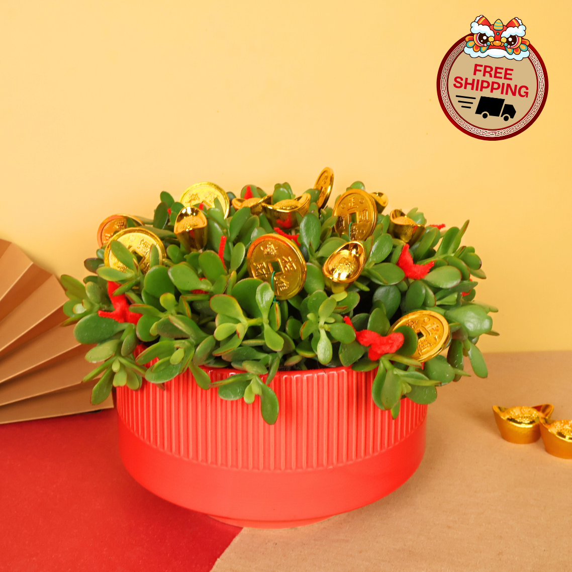 Prosperous Jade (Crassula 玉树) - CNY Plant