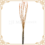 Pussy Willow Color 1.8m (银柳)