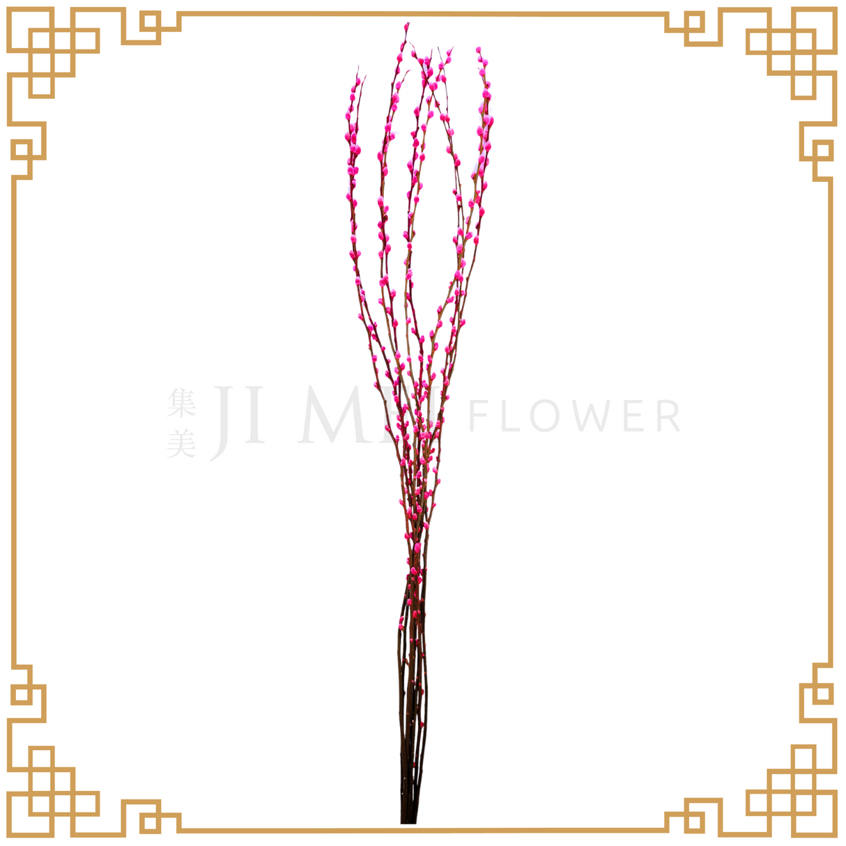 Pussy Willow Color 1.8m (银柳) - Shocking Pink