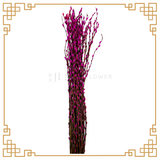 Pussy Willow Color 1.2m (银柳)