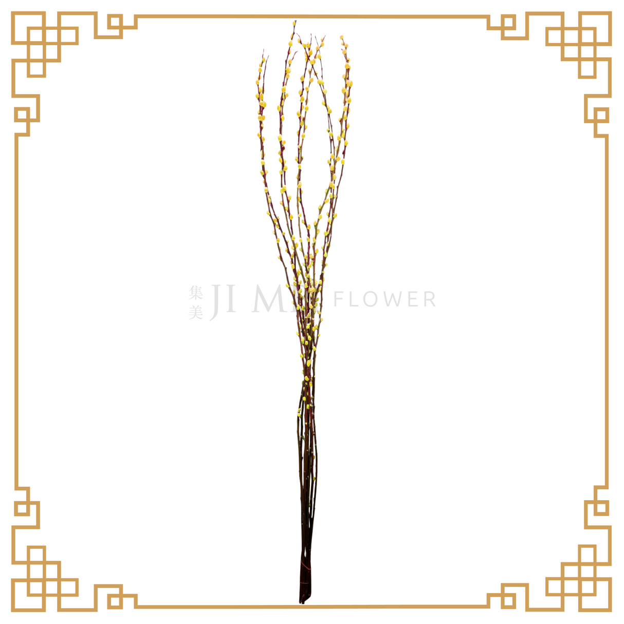 Pussy Willow Color 1.8m (银柳)