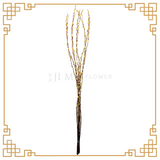 Pussy Willow Color 1.8m (银柳)