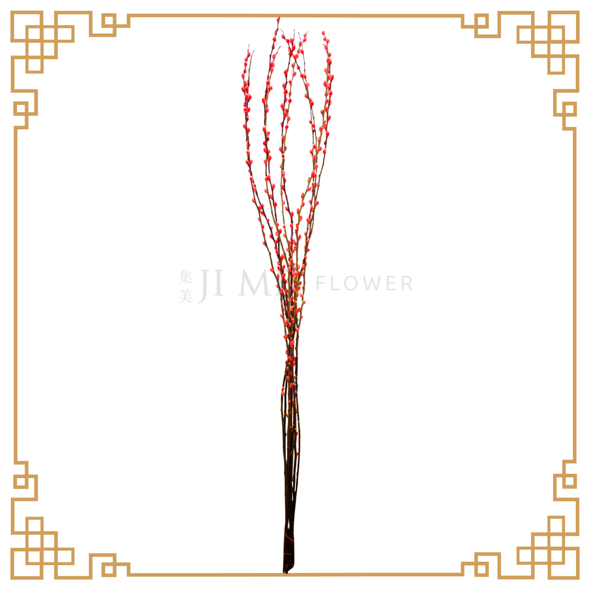 Pussy Willow Color 1.8m (银柳)