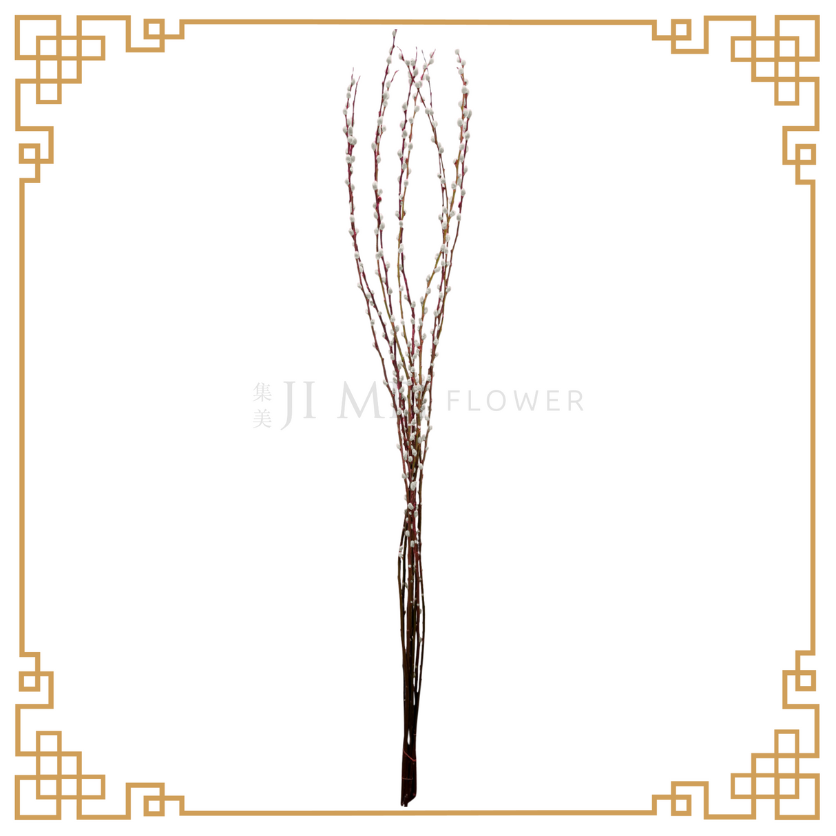 Pussy Willow Color 1.8m (银柳)