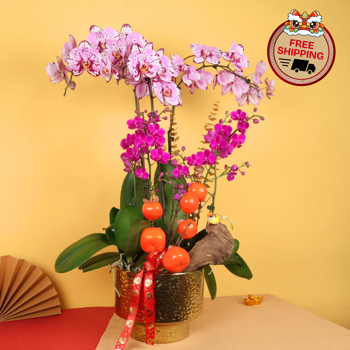 Regal Prosperity (3 Single & 2 Double Stalks) - Orchid Phalaenopsis