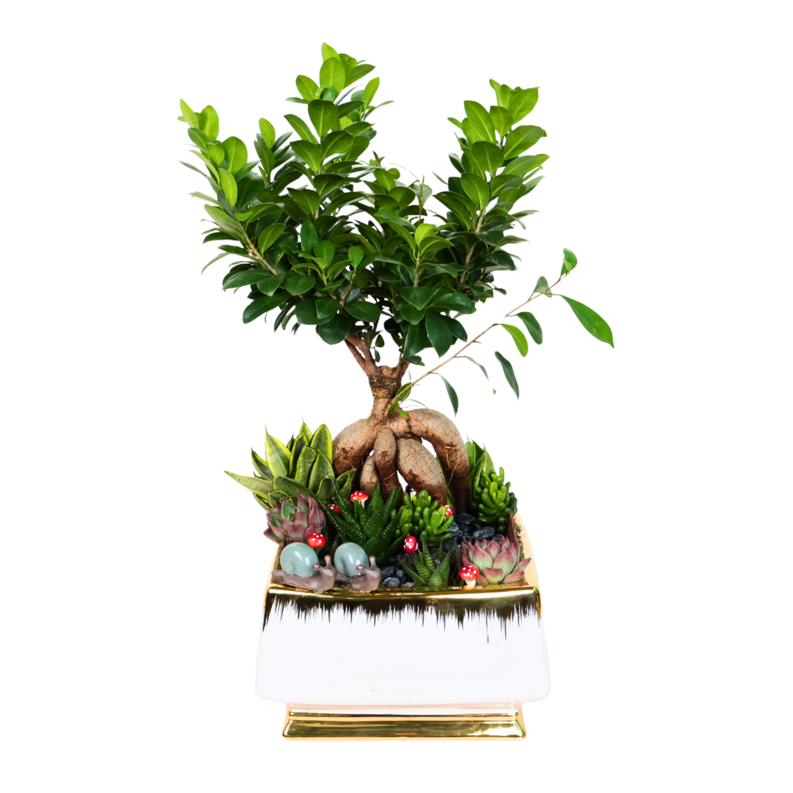 Bonsai tree in flowerpot.