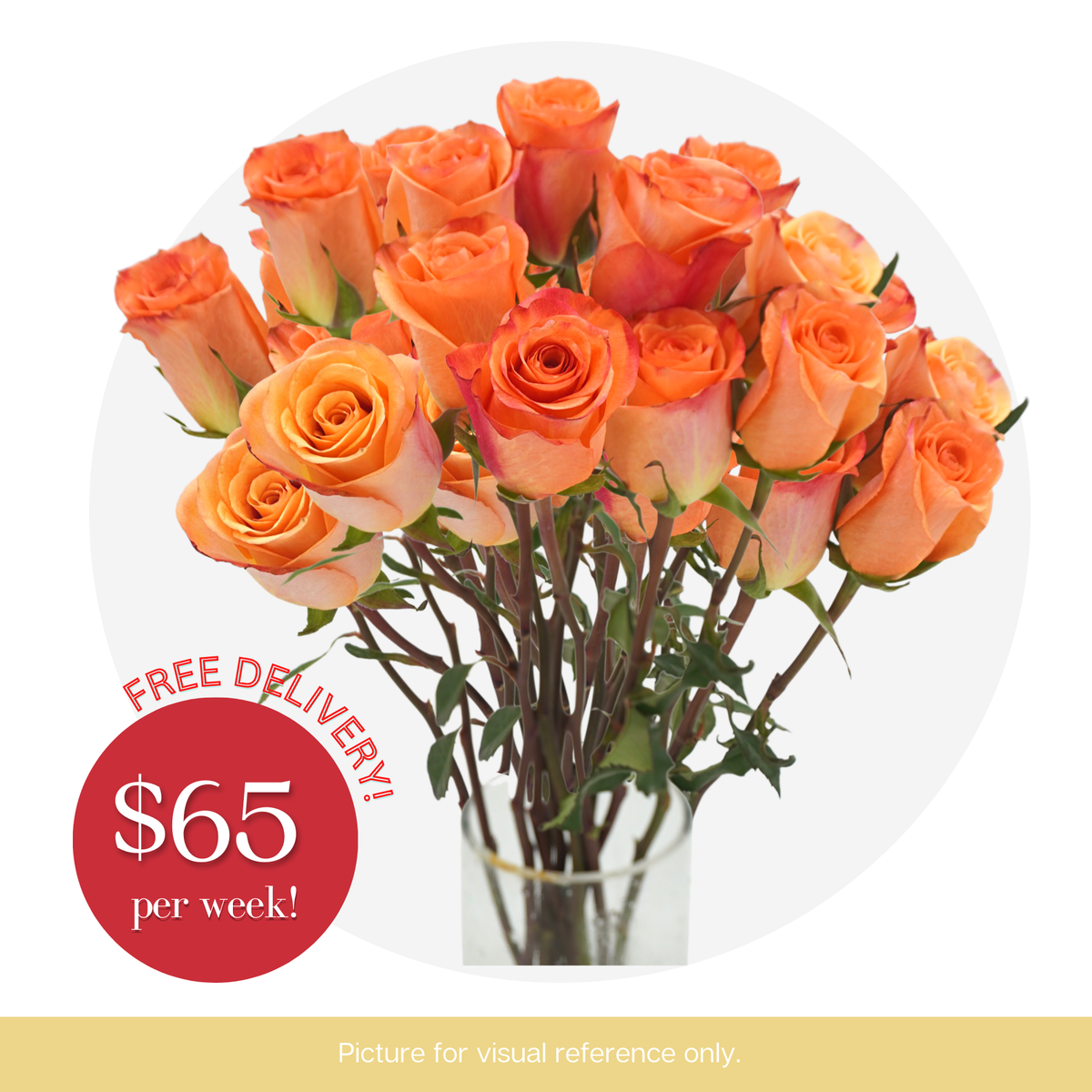Fresh Flower Subscription Roses