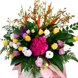 Shining Celebration - Congratulatory Flower Stand