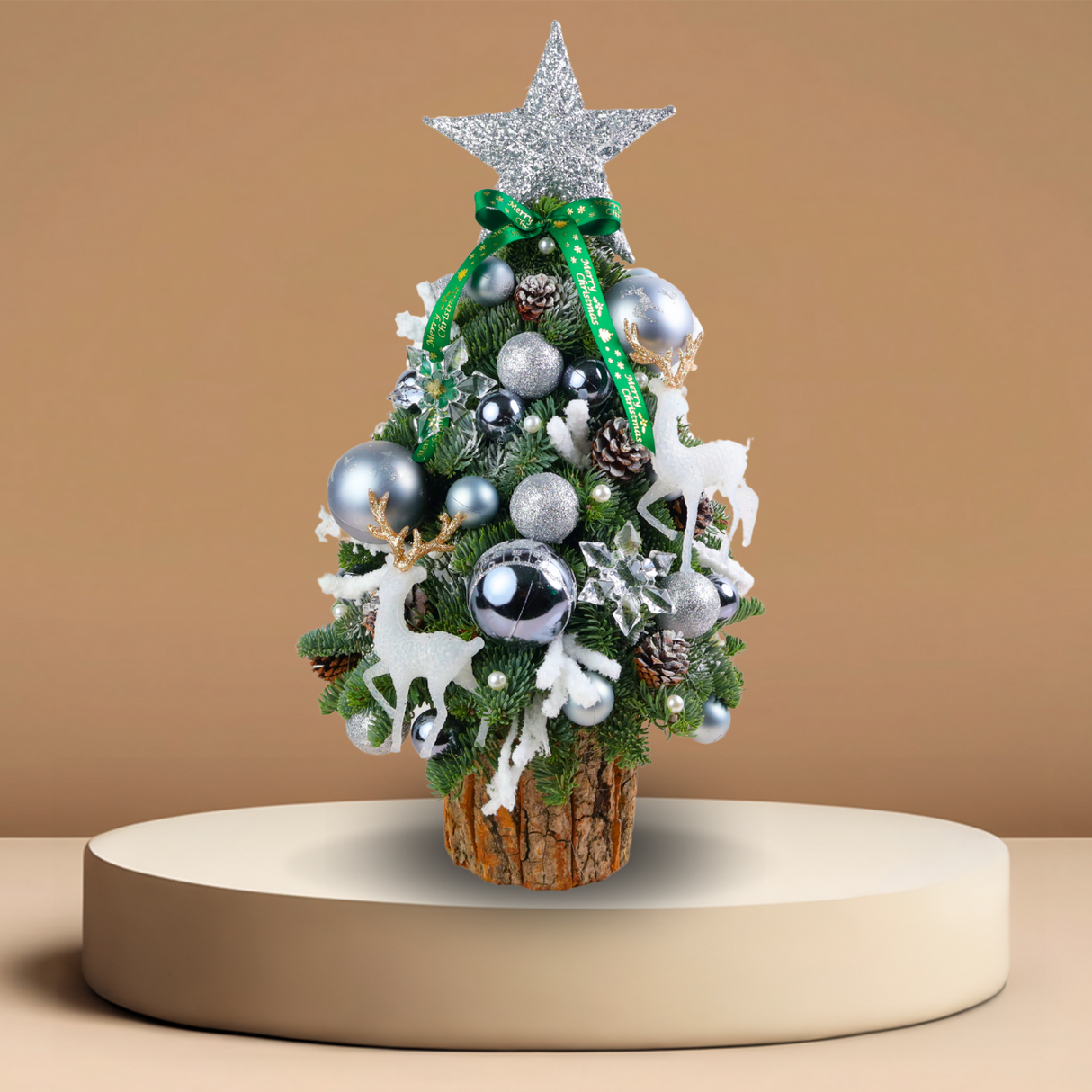 Silver Snowlight - Fresh Mini Christmas Tree