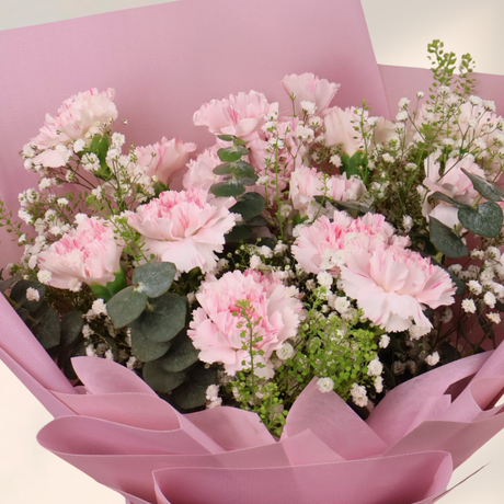 Sincere Warm (12 Carnations) - Mother's Day Bouquet