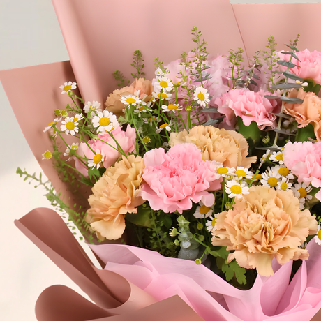 Soft Shelter (12 Carnations) - Flower Bouquet