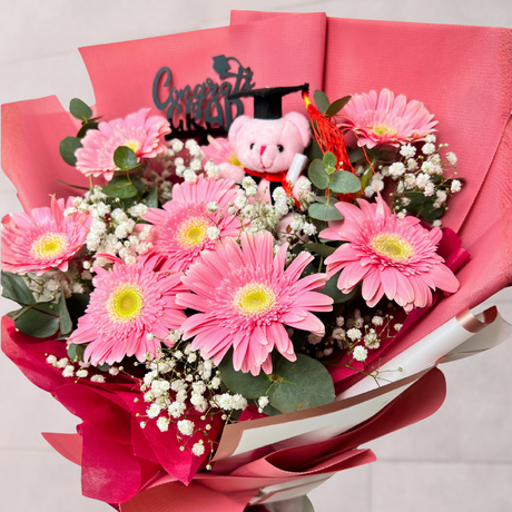 Sparkling Scholar (8 Gerberas) - Flower Bouquet
