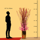 Spring Harmony (58/88/128 Stalks) - Pussy Willow