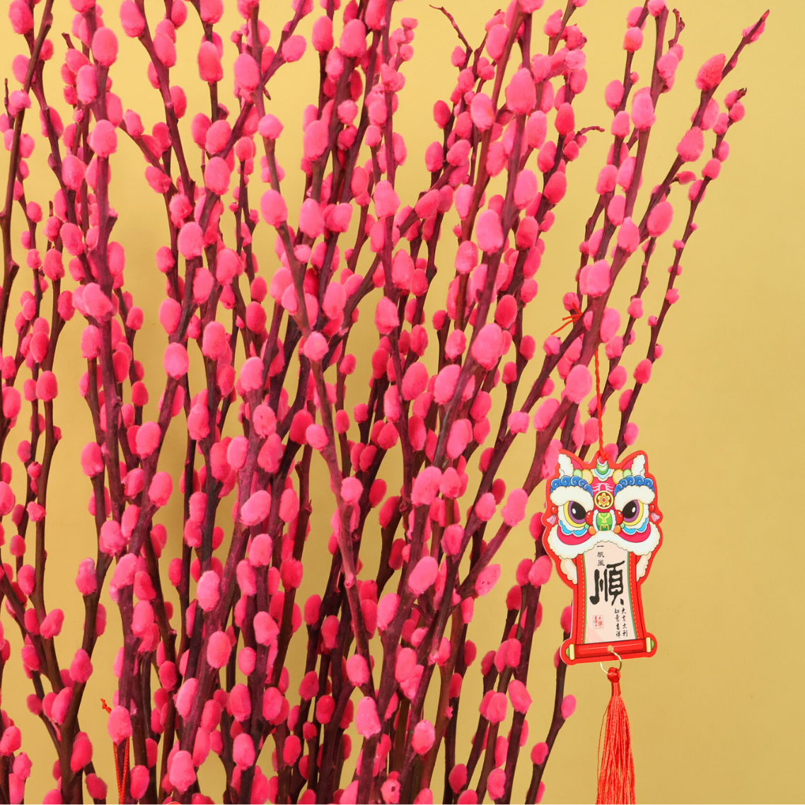 Spring Pink (38 Stalks) - Pussy Willow