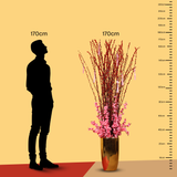 Spring Harmony (58/88/128 Stalks) - Pussy Willow