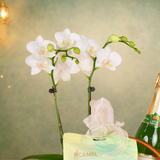 Syawal Delight - Hari Raya Hamper