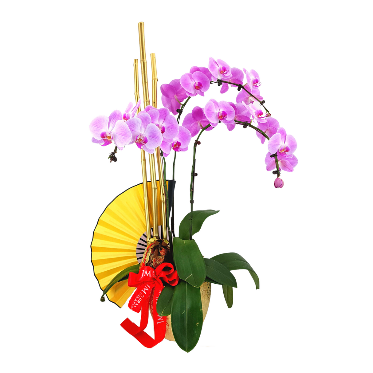 Triple Fortune (3 Single Stalks)- Orchid Phalaenopsis