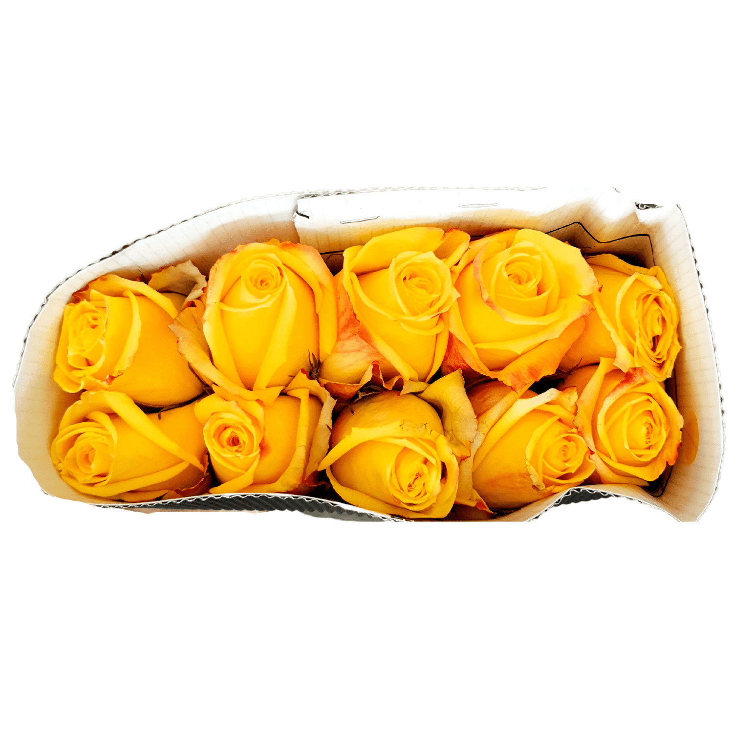 Rose Kenya Color Fresh Flowers Ji Mei Flower rose-kenya-color-fresh-flowers-ji-mei-flower