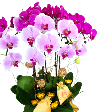 wealth-blessings Chinese New Year Flower Arrangement Singapore