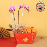 Wealth Glow (18 Oranges) - Orange and Flower CNY Hamper