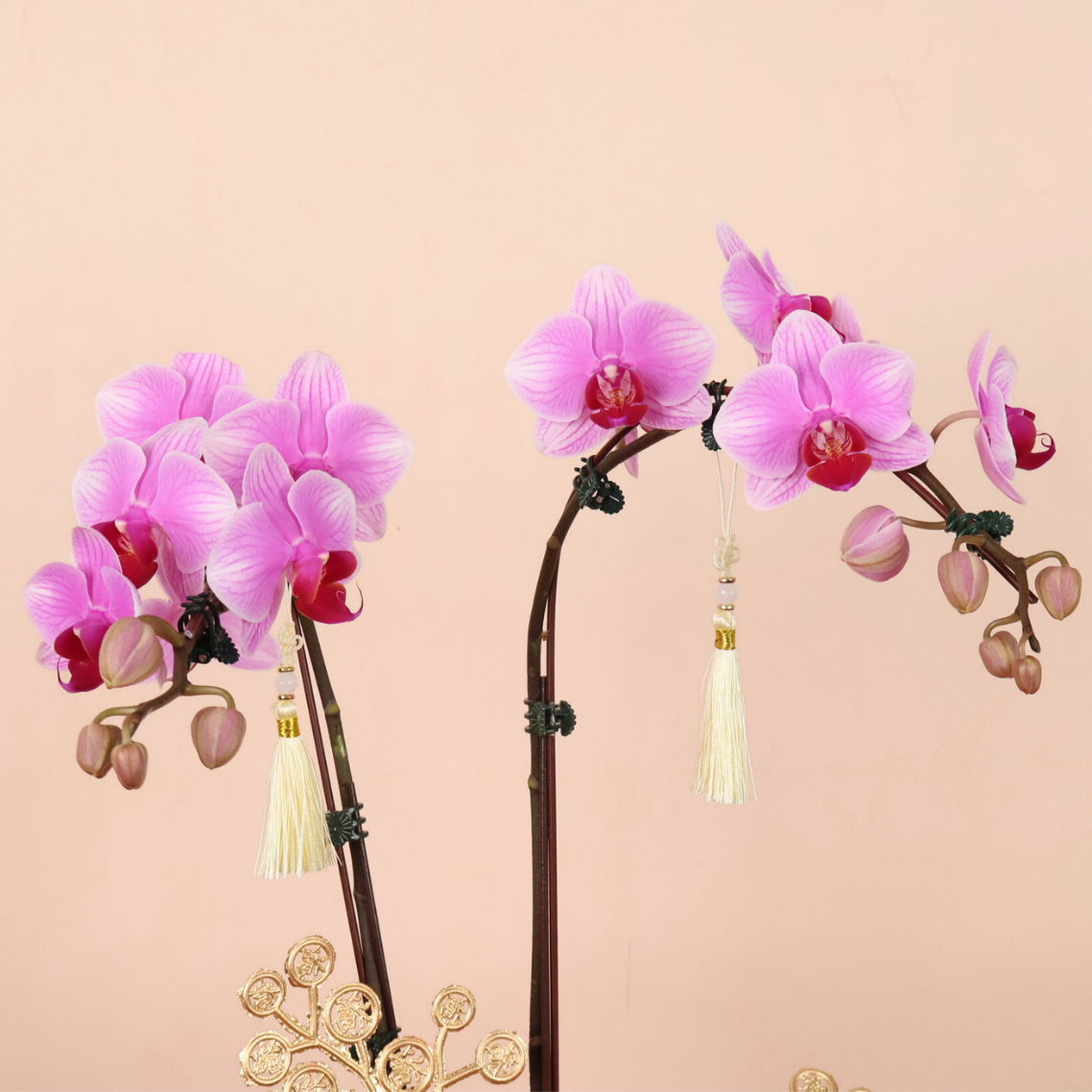 Wealth Glow (18 Oranges) - Orange and Flower CNY Hamper