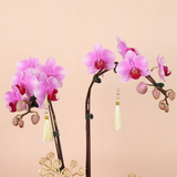 Wealth Glow (18 Oranges) - Orange and Flower CNY Hamper