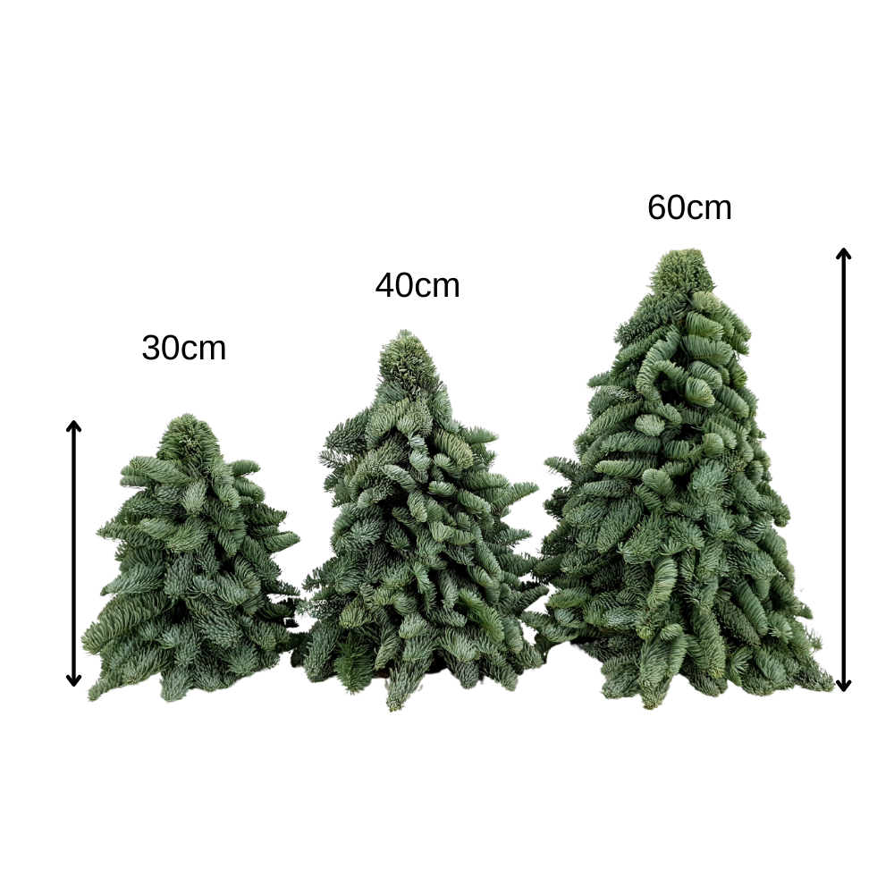 Mini Christmas Tree 60cm (Holland)