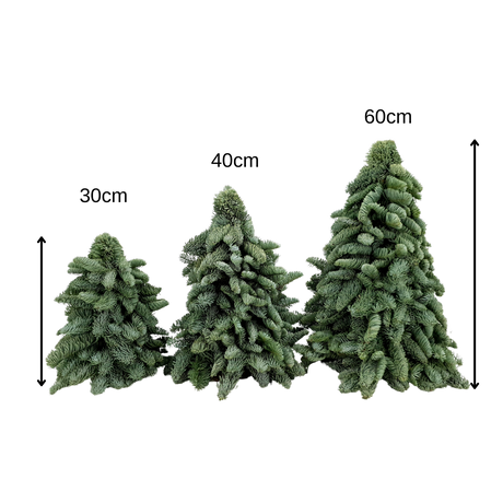 Mini Christmas Tree 60cm (Holland)