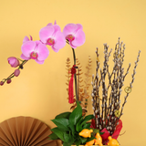 Willow Abundance (1 Single Stalk) - Orchid Phalaenopsis